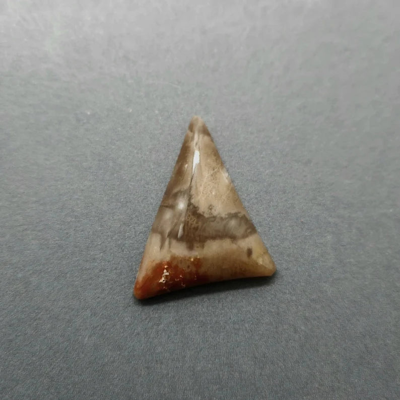 Handcut Petrified Wood Cabochon