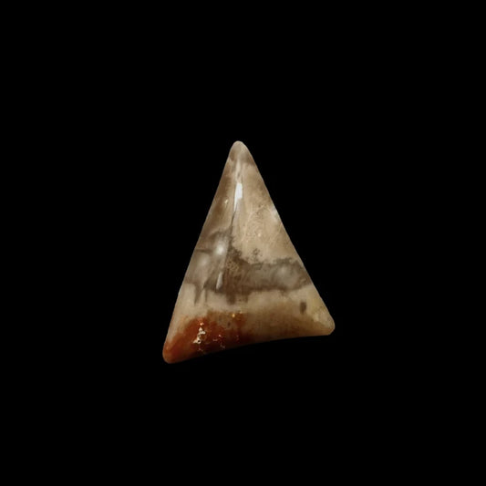 Handcut Petrified Wood Cabochon